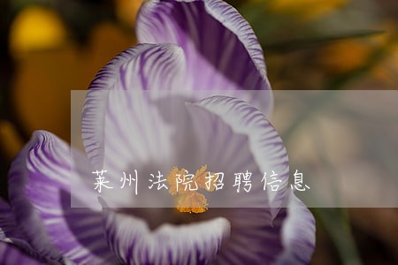 莱州法院招聘信息 莱州法院招聘信息