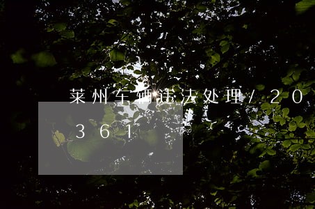 莱州车辆违法处理/2023020843361 莱州车辆违法处理/2023020843361