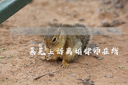 莱芜上诉离婚律师在线 莱芜上诉离婚律师在线
