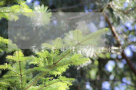 莱芜专业律师处理债务 莱芜专业律师处理债务