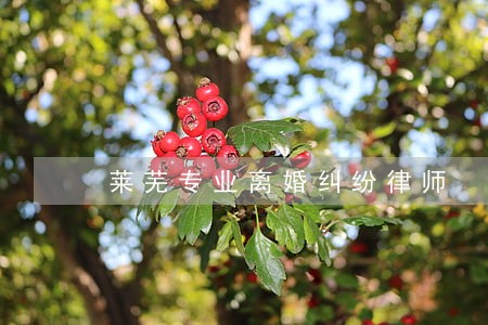 莱芜专业离婚纠纷律师 莱芜专业离婚纠纷律师