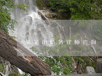 莱芜市债务律师咨询 莱芜市债务律师咨询