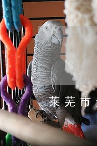 莱芜市遗产继承律师网 莱芜市遗产继承律师网