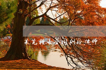 莱芜擅长合同纠纷律师 莱芜擅长合同纠纷律师