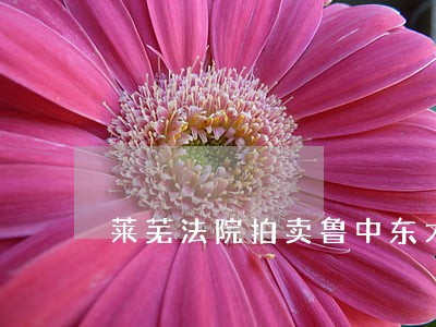 莱芜法院拍卖鲁中东大街