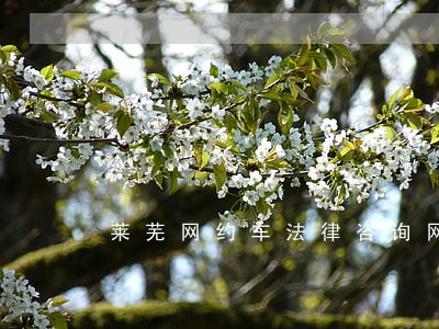 莱芜网约车法律咨询网 莱芜网约车法律咨询网