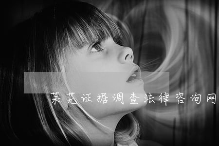 莱芜证据调查法律咨询网 莱芜证据调查法律咨询网