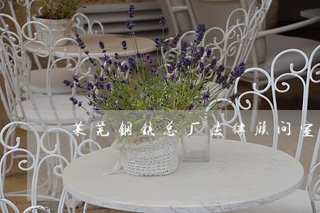 莱芜钢铁总厂法律顾问室咨询服务部 莱芜钢铁总厂法律顾问室咨询服务部
