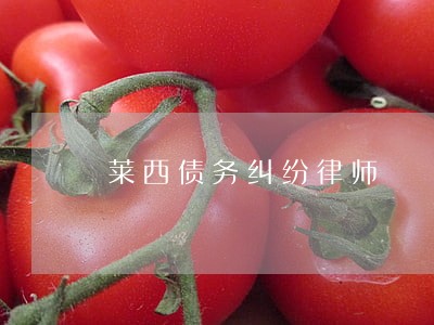 莱西债务纠纷律师