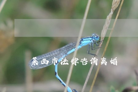 莱西市法律咨询离婚 莱西市法律咨询离婚
