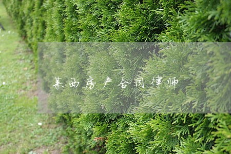 莱西房产合同律师 莱西房产合同律师
