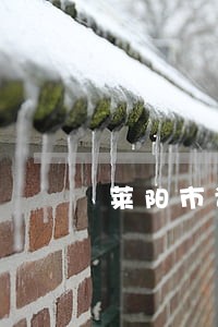 莱阳市请辩护律师 莱阳市请辩护律师