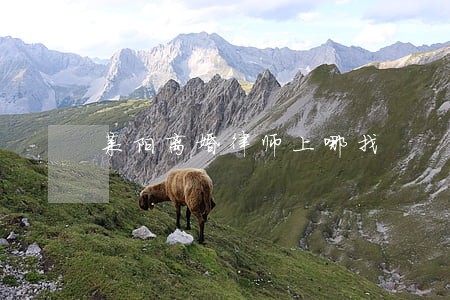 莱阳离婚律师上哪找 莱阳离婚律师上哪找