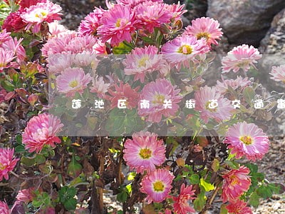 莲池区南关街道交通事故律师 莲池区南关街道交通事故律师