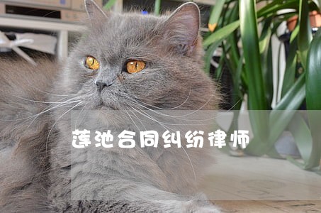 莲池合同纠纷律师 莲池合同纠纷律师
