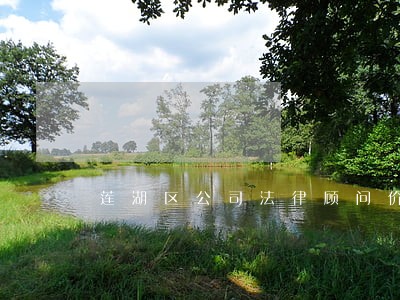 莲湖区公司法律顾问价格 莲湖区公司法律顾问价格