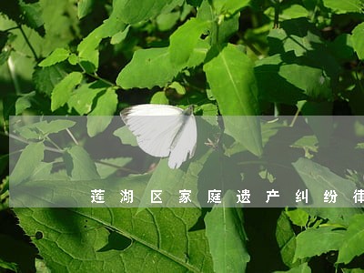 莲湖区家庭遗产纠纷律师介绍 莲湖区家庭遗产纠纷律师介绍