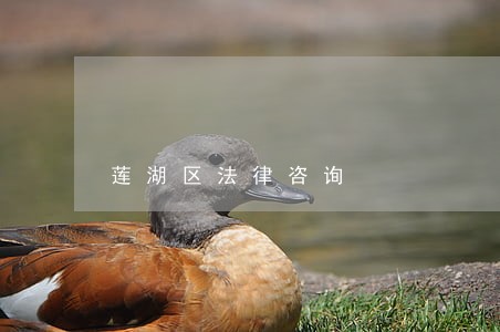 莲湖区法律咨询 莲湖区法律咨询