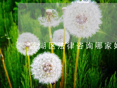 莲湖区法律咨询哪家好 莲湖区法律咨询哪家好
