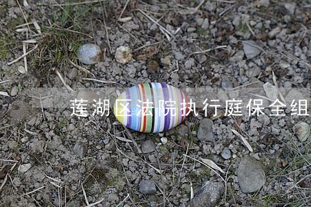 莲湖区法院执行庭保全组 莲湖区法院执行庭保全组