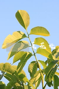 莲花北苑社区司法行政服务站 莲花北苑社区司法行政服务站