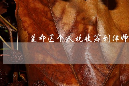 莲都区个人税收筹划律师在线咨询 莲都区个人税收筹划律师在线咨询