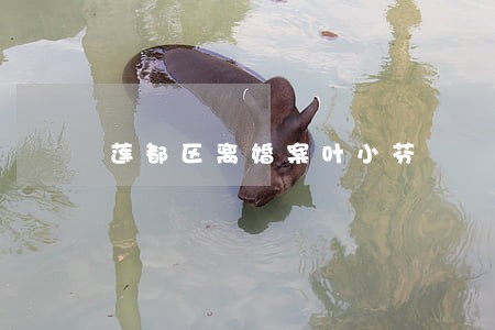 莲都区离婚案叶小芬
