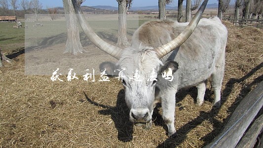 获取利益算违法吗