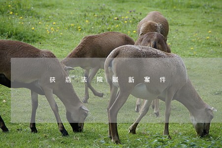 获嘉法院最新案件 获嘉法院最新案件