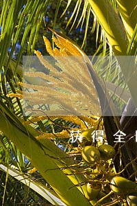 获得全国法院先进集体