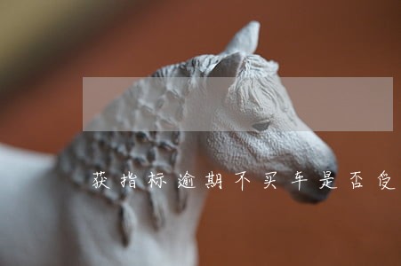 获指标逾期不买车是否受罚 获指标逾期不买车是否受罚