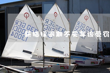 获指标逾期不买车该受罚吗既然 获指标逾期不买车该受罚吗既然