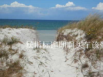 获指标逾期啊买车该受罚吗 获指标逾期啊买车该受罚吗