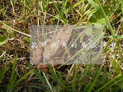 获评优秀村居法律顾问 获评优秀村居法律顾问