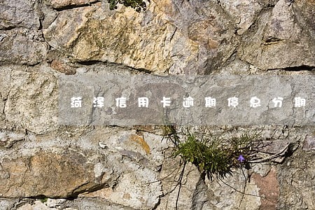 菏泽信用卡逾期停息分期申请条件 菏泽信用卡逾期停息分期申请条件