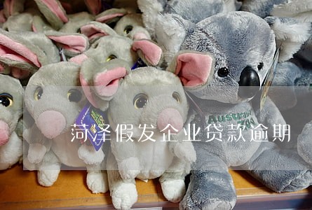 菏泽假发企业贷款逾期 菏泽假发企业贷款逾期