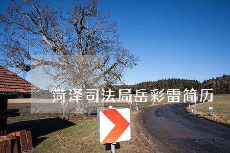 菏泽司法局岳彩雷简历 菏泽司法局岳彩雷简历