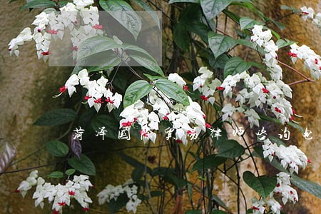 菏泽国际贸易律师咨询电话 菏泽国际贸易律师咨询电话