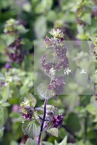 菏泽土地违法 菏泽土地违法