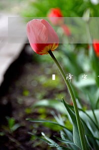 菏泽定陶区房地产律师哪个好 菏泽定陶区房地产律师哪个好