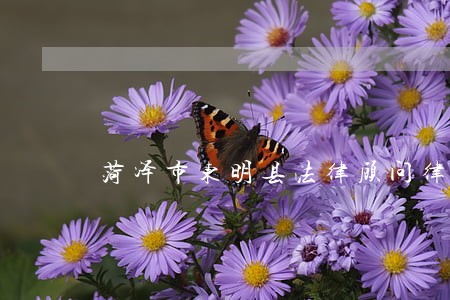 菏泽市东明县法律顾问律师 菏泽市东明县法律顾问律师
