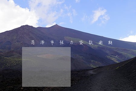 菏泽市张力贷款逾期 菏泽市张力贷款逾期