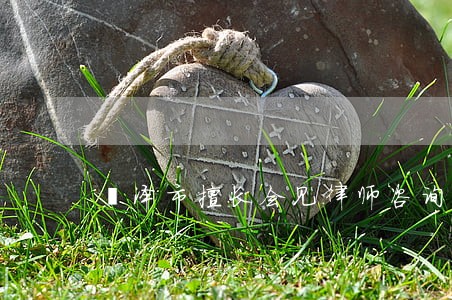 菏泽市擅长会见律师咨询网站 菏泽市擅长会见律师咨询网站