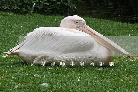 菏泽律师事务所婚姻 菏泽律师事务所婚姻