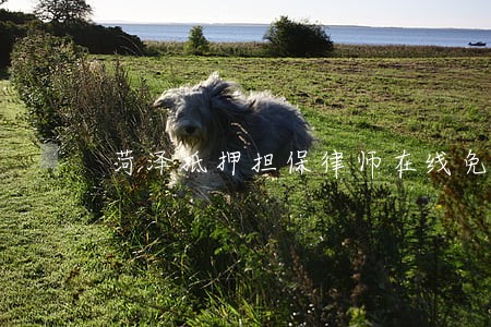 菏泽抵押担保律师在线免费咨询 菏泽抵押担保律师在线免费咨询