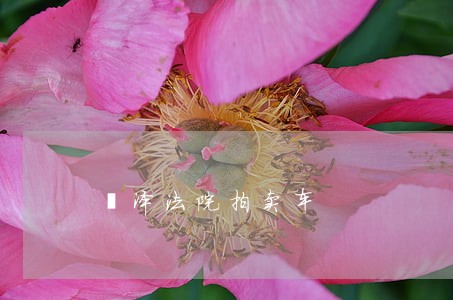 菏泽法院拍卖车 菏泽法院拍卖车