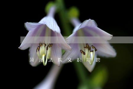 菏泽法院文职招聘 菏泽法院文职招聘