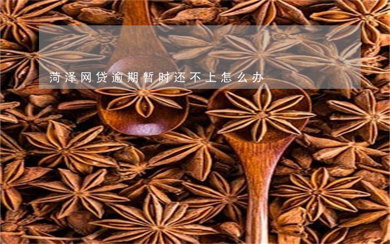菏泽网贷逾期暂时还不上怎么办 菏泽网贷逾期暂时还不上怎么办