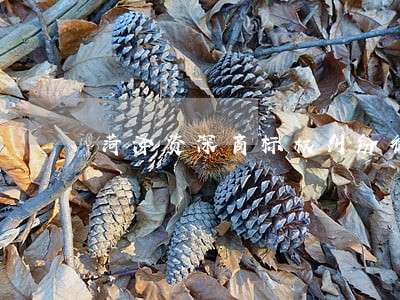 菏泽资深商标权纠纷律师怎么收费 菏泽资深商标权纠纷律师怎么收费