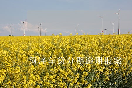 菏泽车贷分期逾期报案 菏泽车贷分期逾期报案